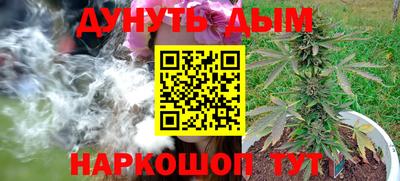 наркотики Будённовск