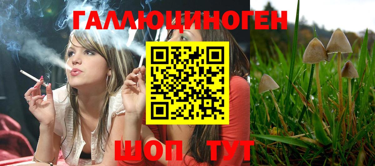Щёлково  Псилоцибиновые грибы Cubensis  купить  сайты  Вход с VPN 